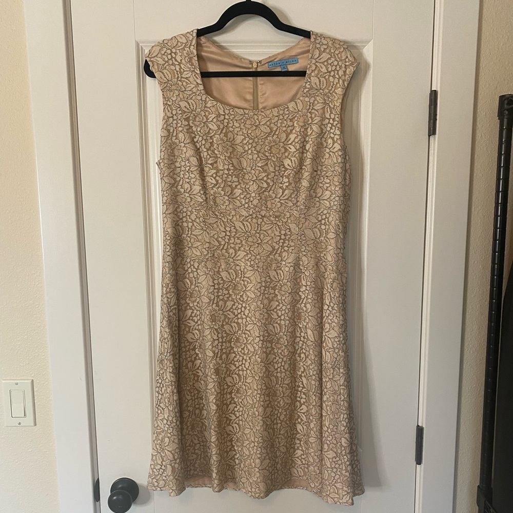 Cream Lace Occasion Dress- Antonio Melani